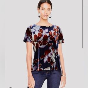 Ann Taylor Botanical Velvet Tee